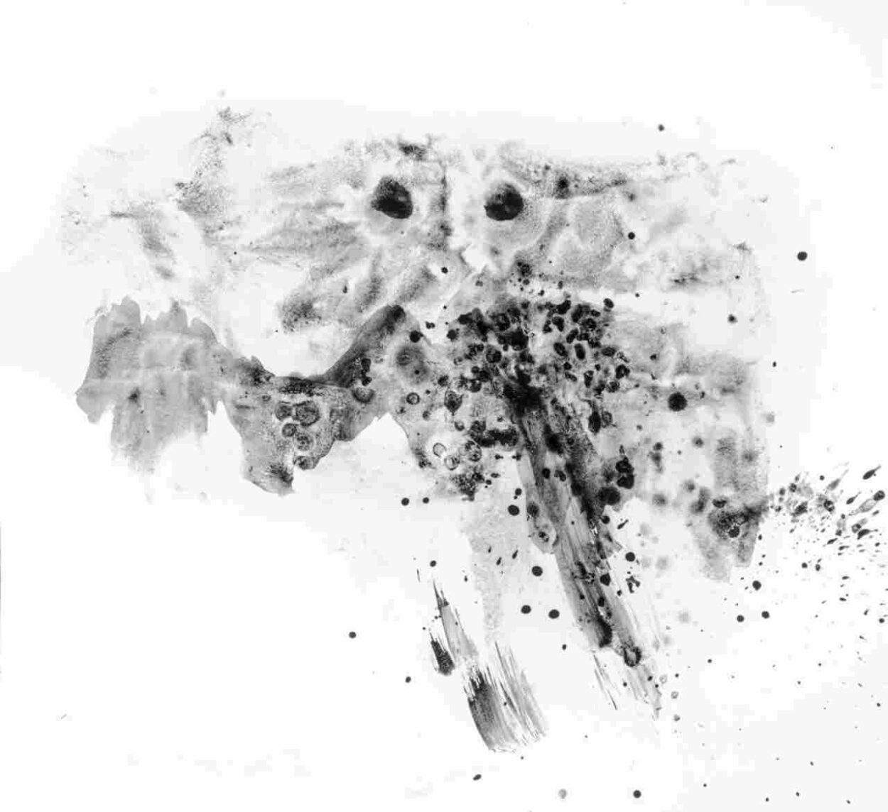 oT. / untitled (24-2626) Décalcomanie, 2024