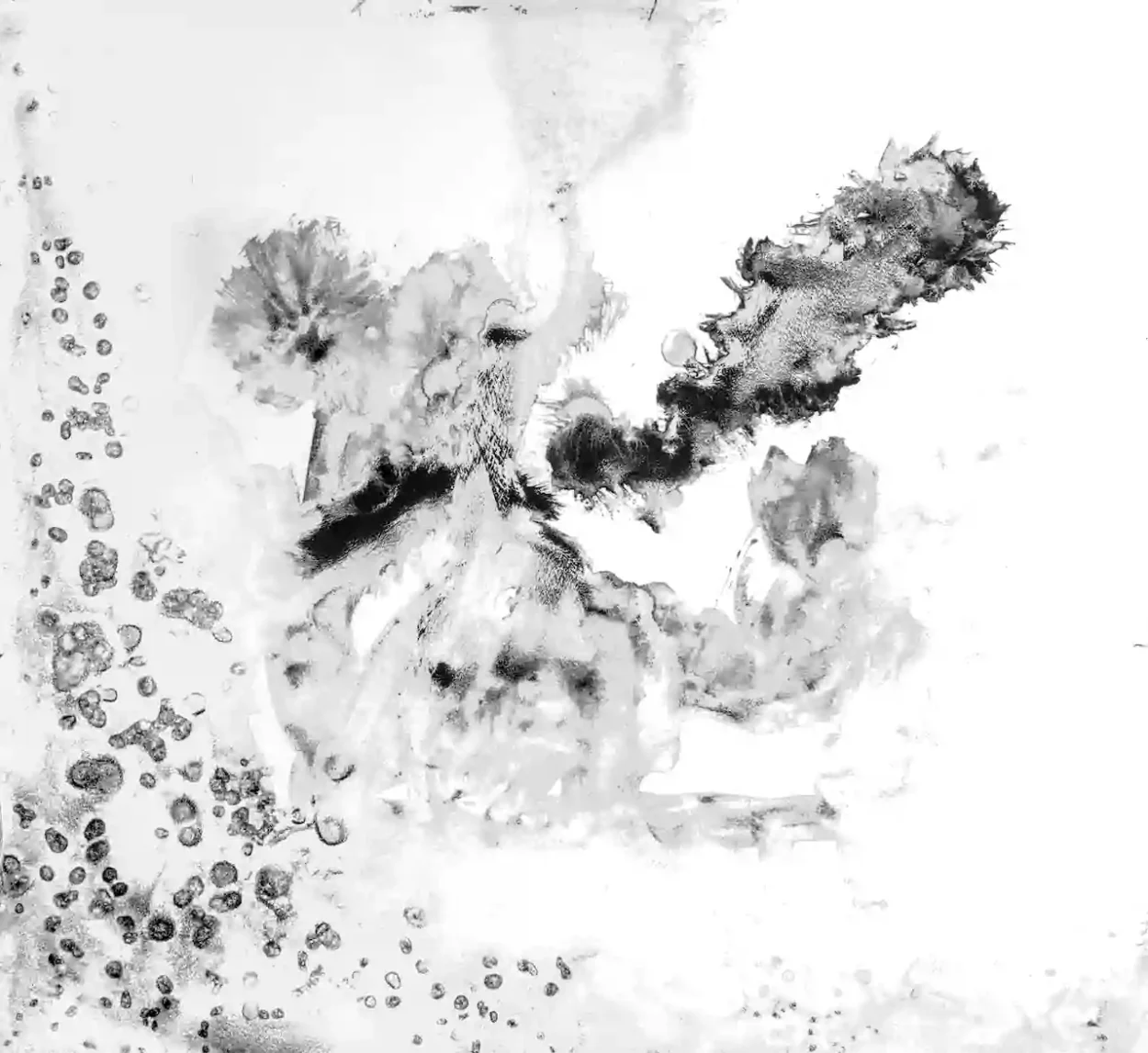 oT. / untitled (24-2630) Décalcomanie, 2024