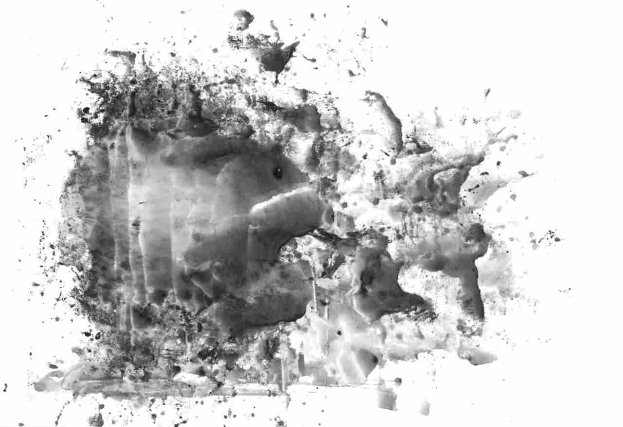 Kleine Fische | Small fish Décalcomanie, 2024