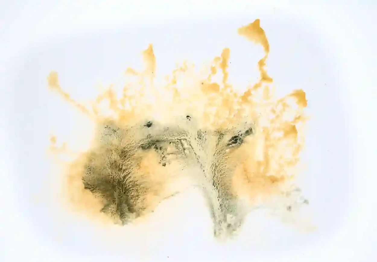 oT. / untitled (26-9382), Watercolor, 2026